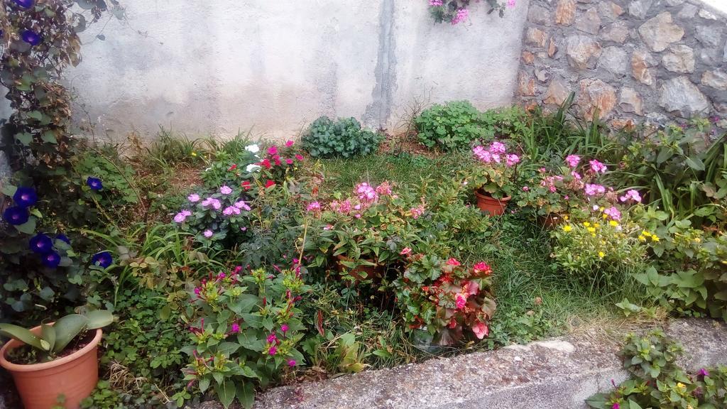 Guesthouse Filepi Senj  Exterior photo